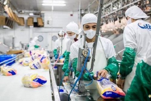 Gripe Aviar: La industria avícola entrerriana estima que el cierre de las exportaciones será por 90 días “siendo optimistas”